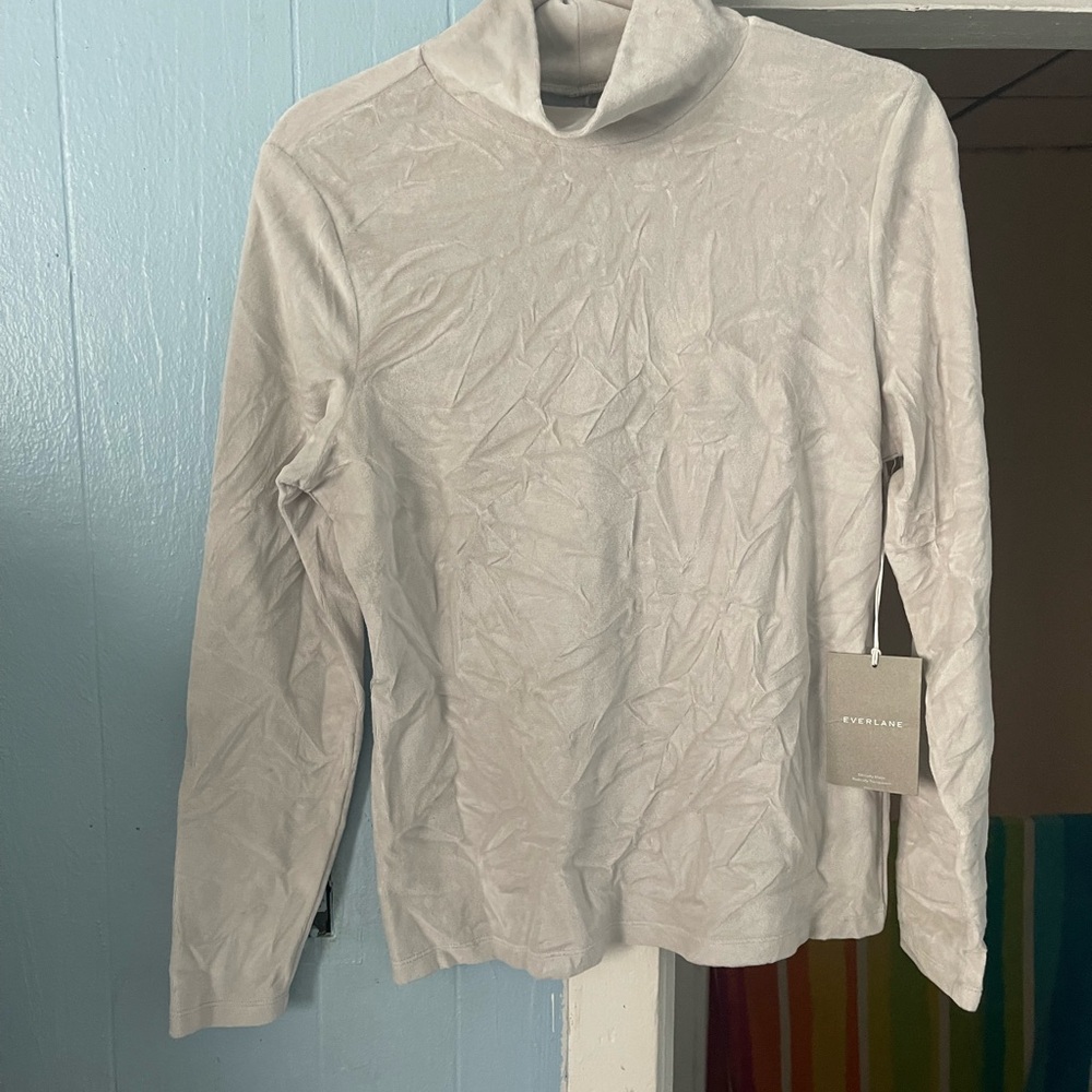 Everlane Turtleneck Top